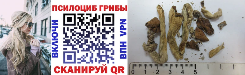 Галлюциногенные грибы Cubensis Челябинск